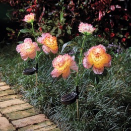 Set of 2 Peach-Colored Solar Flower Stakes, , large