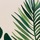 Jungle
