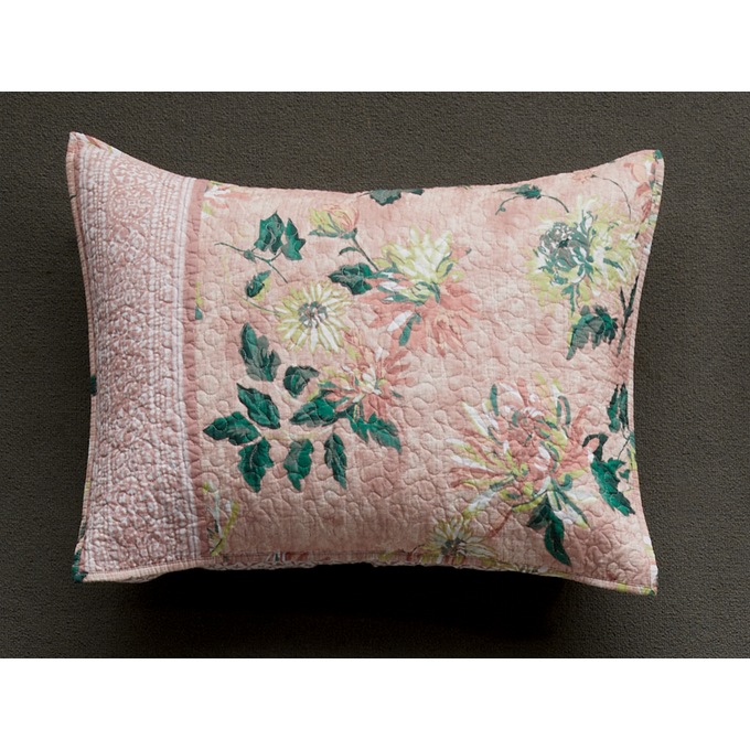 Chrysanthemum Sham, , large