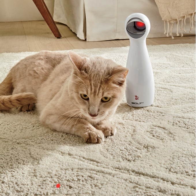 Frolicat Bolt Interactive Toy Ginny s