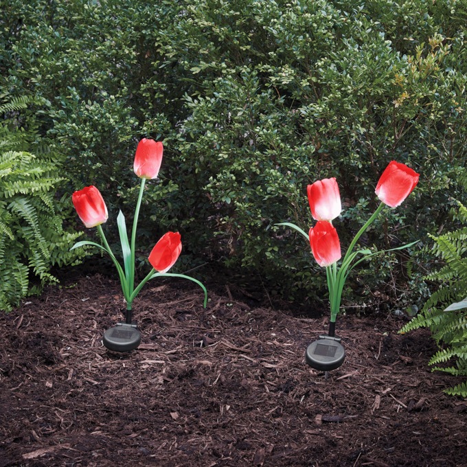 Set of 2 Solar Tulip Lights, Red, large