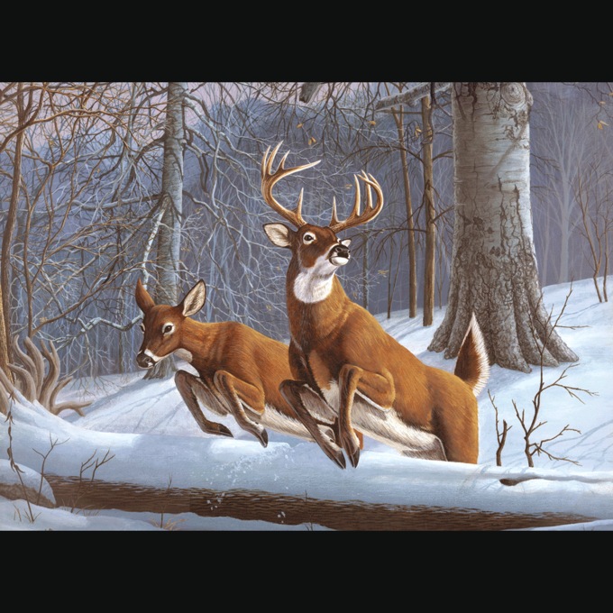 Adult Pre-Printed Paint-by-Number Kit, , large