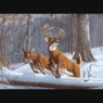 Adult Pre-Printed Paint-by-Number Kit, , large