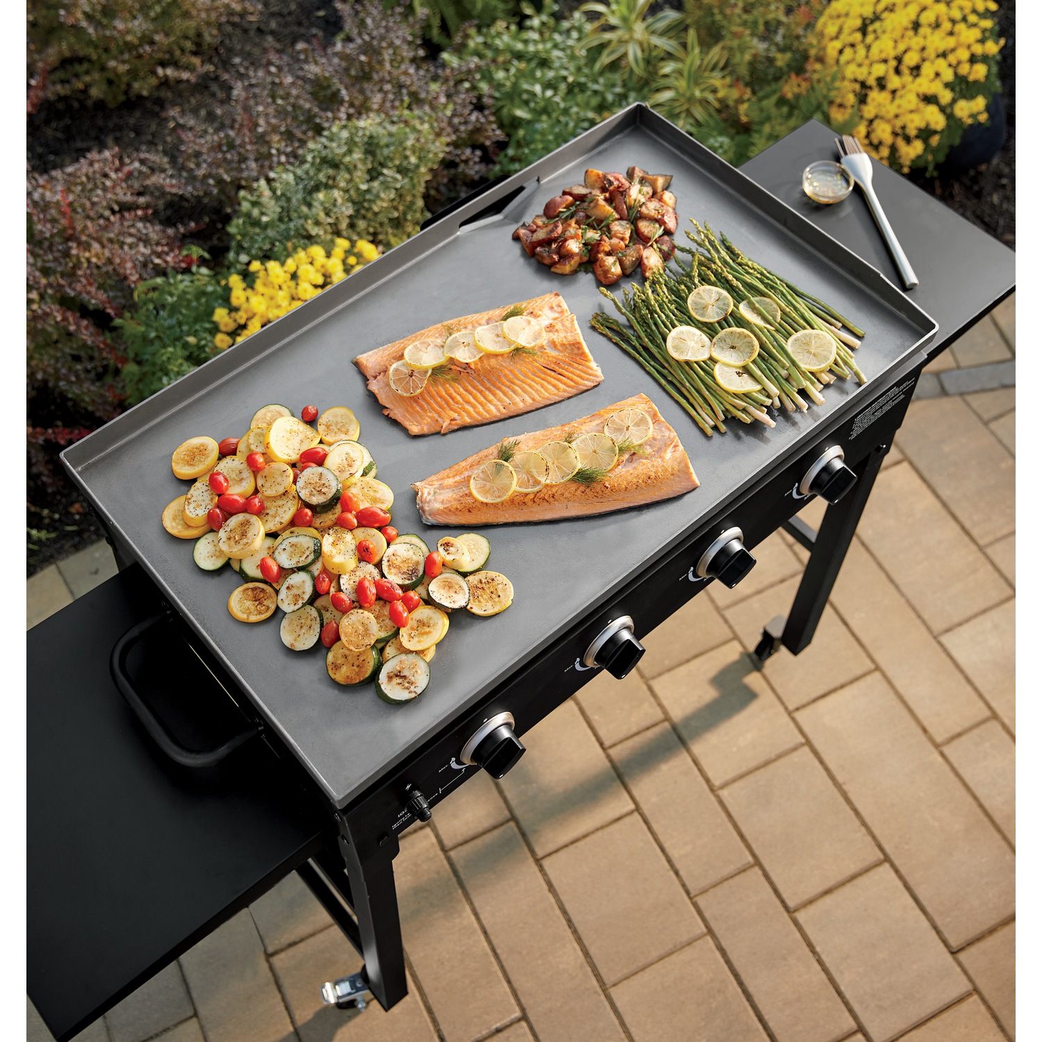 Griddle Gas Grill