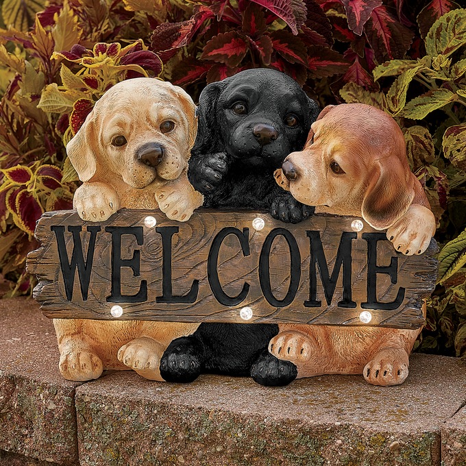 Solar Pet Welcome Sign, , large
