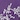 Leaves and Vines Microfiber Sheet Set, Purple, swatch