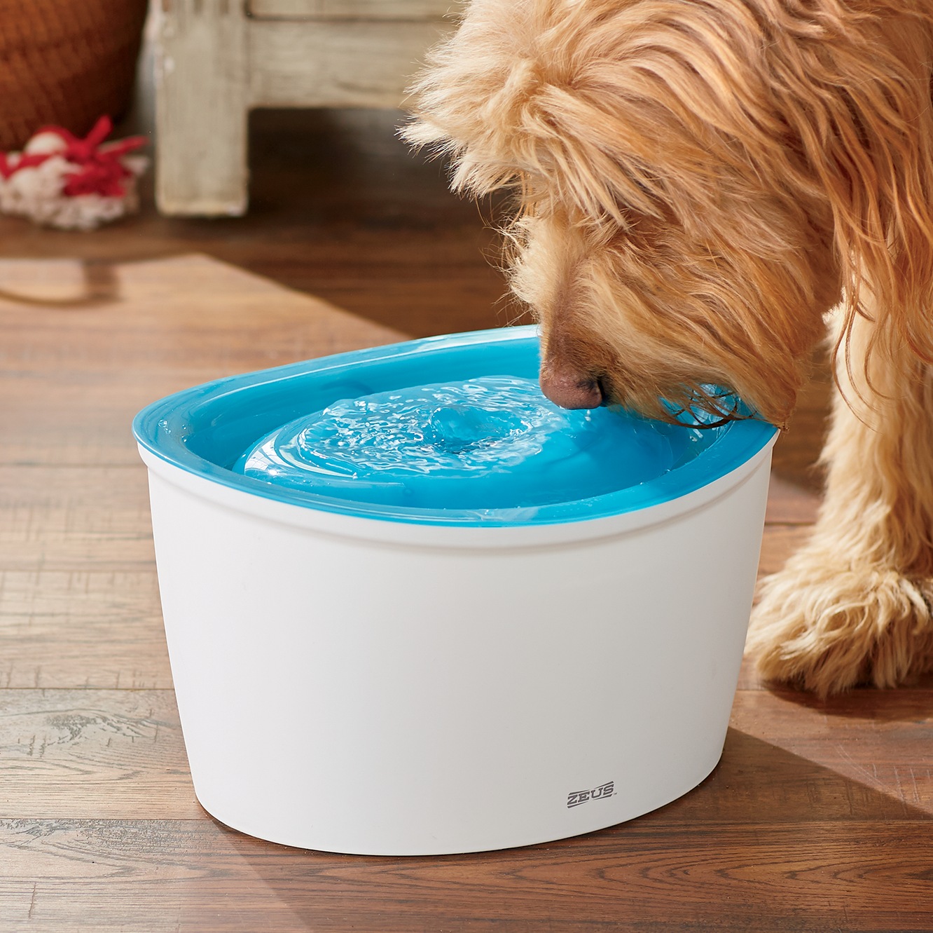 zeus fresh & clear elevated dog and cat water dispenser