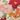 Color Connection Flower Power Microfiber Sheet Set, Sage Multi, swatch