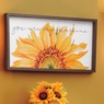 My Sunshine Sunflower Wall Art, , large