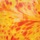 Yellow Orange